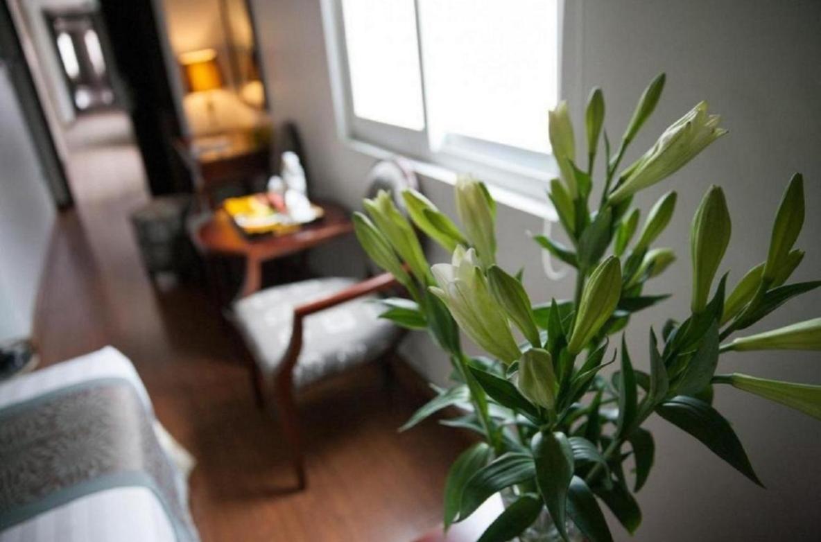 Skylark Boutique Hotel Hanoi Exterior foto